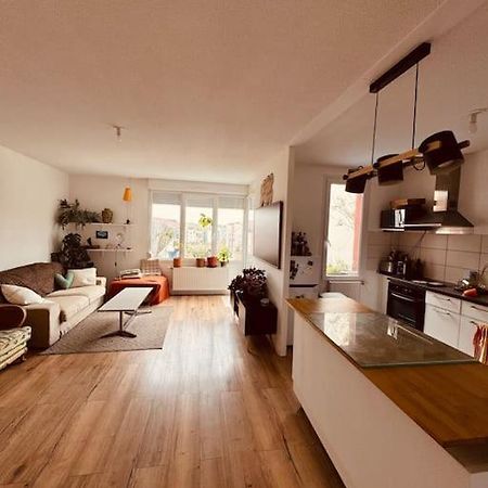 Bel Appartement Proche Mulhouse Pfastatt 外观 照片