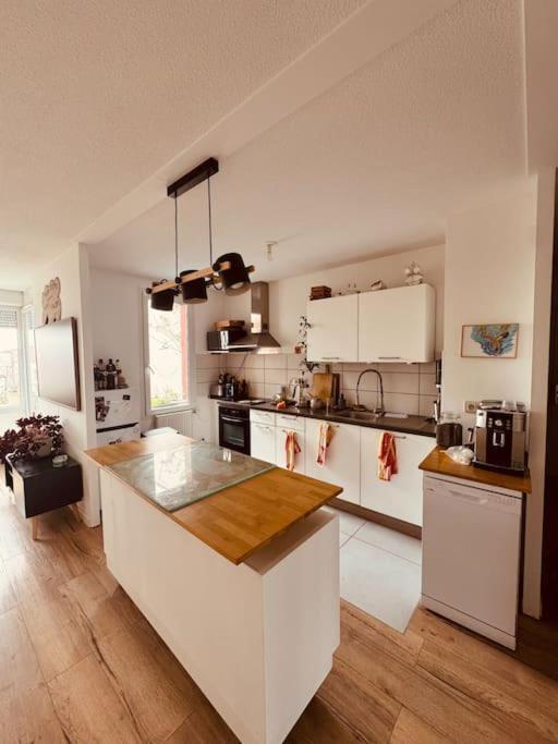 Bel Appartement Proche Mulhouse Pfastatt 外观 照片